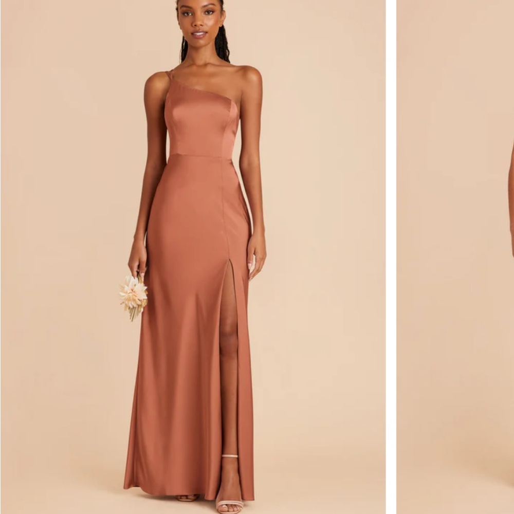 Birdy Grey terracotta matte satin Halter Gown for Weddings